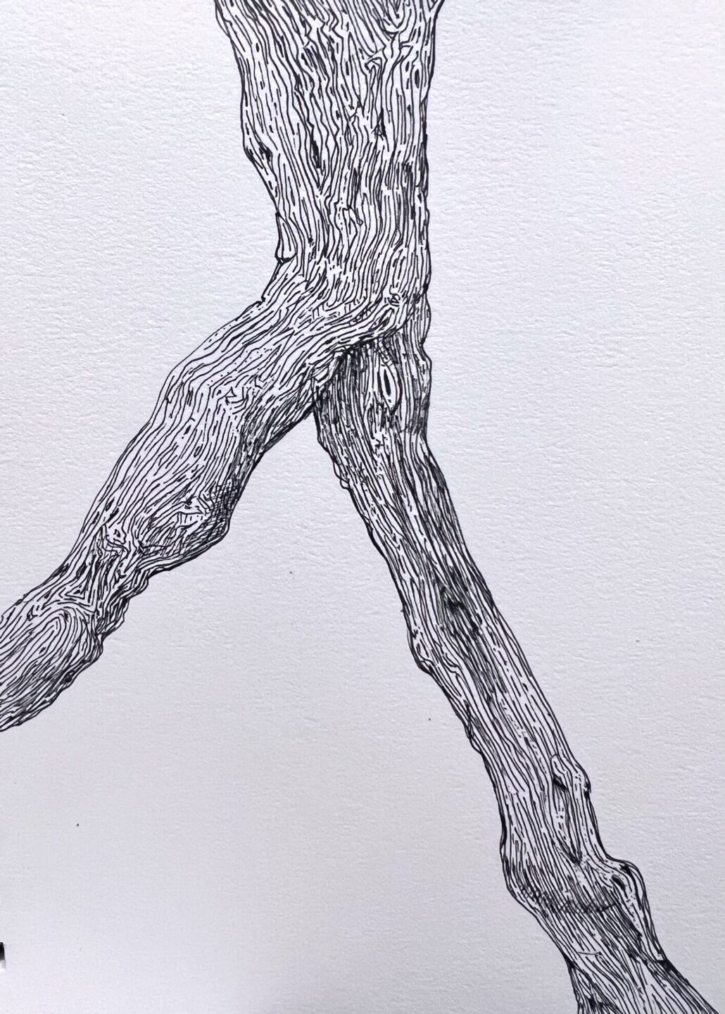 branch-crook