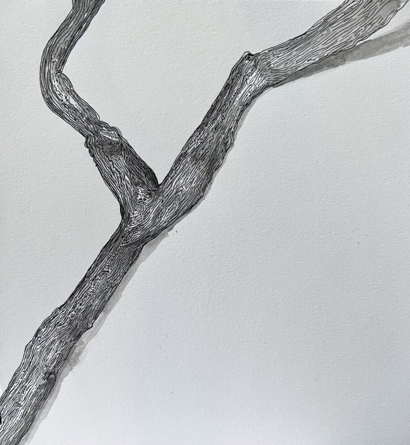 wood-limb-2